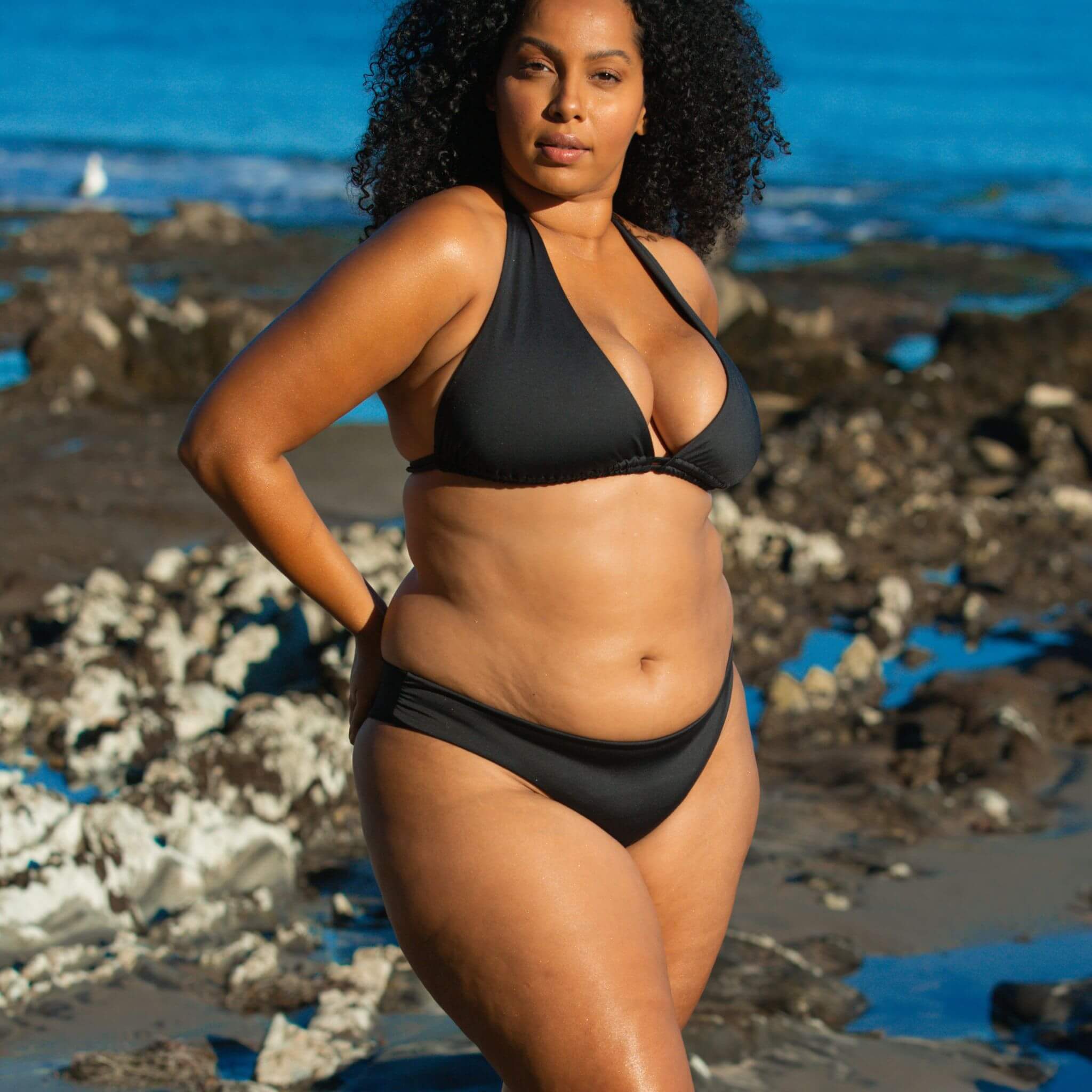 Catalina bathing outlet suits plus size